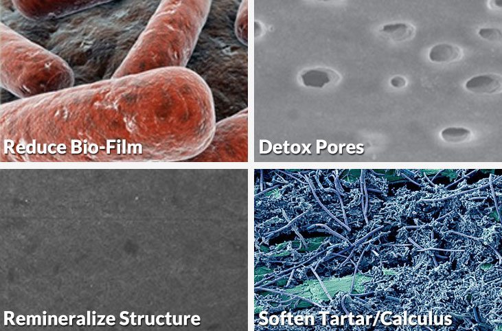 Our Detox Serum reduces bio-film, detoxes pores, remineralizes structure, and softens tartar/calculus