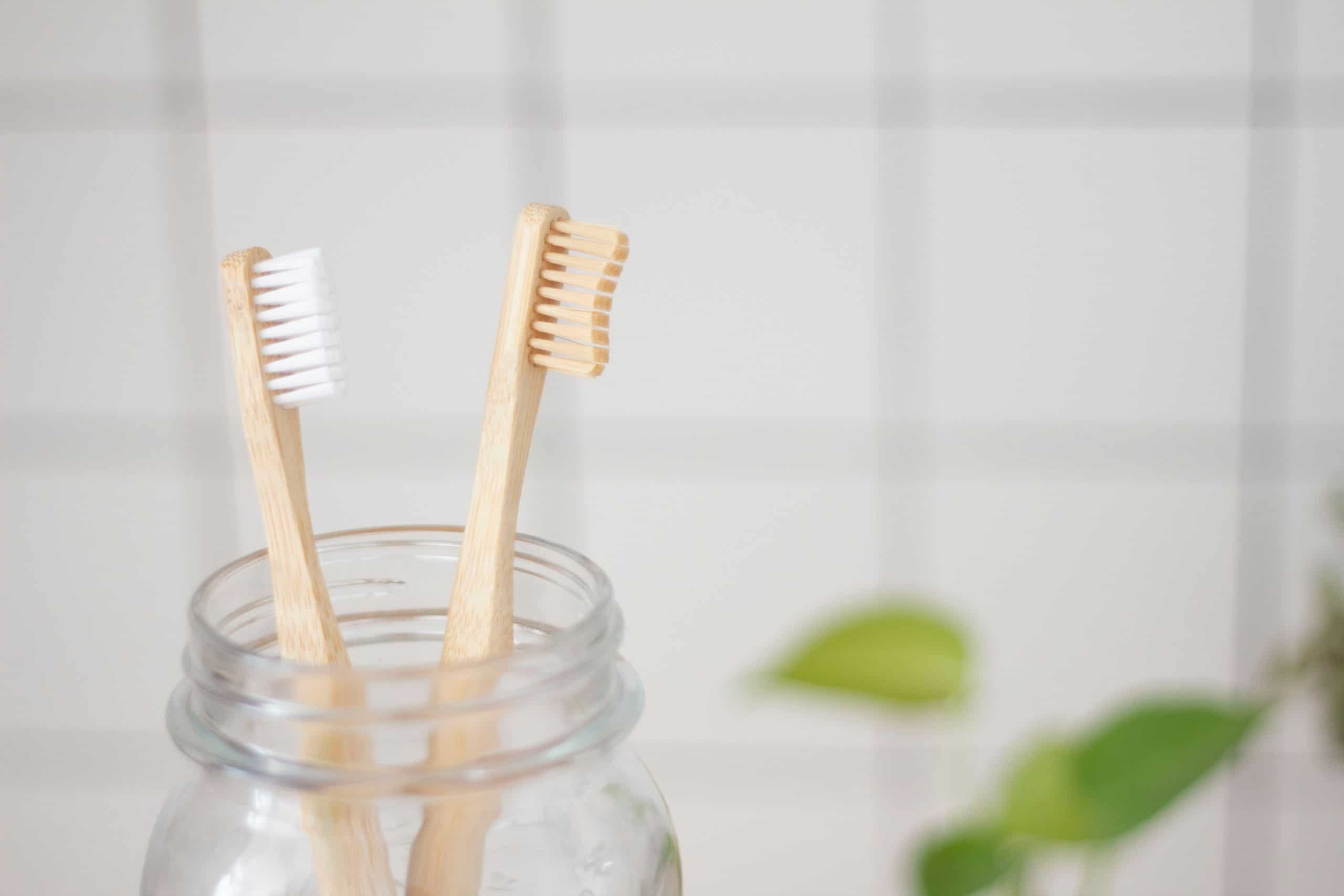 superkitina-rCT928GIboM-unsplash miswak